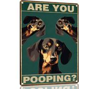 Bassotto "Stai Facendo La Cacca?" Targa Achtung Segno Poster Con Placca Decorazione Segnale Di Avviso Per Man Cave Club Giardino 20X30 Cm
