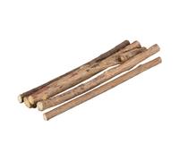 TRIXIE Bastoncini da masticare Matatabi 10 g