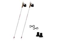 Bastoncini da nordic walking Guidetti VDF UT100 Arctic (grigio/bianco/rosso) 100