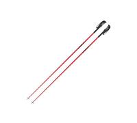 Bastoncini da sci Faction (Cabernet) 120 CM