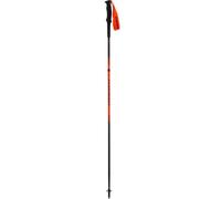 Bastoncini da trail Dynafit Bastoncino alpino (alba) 130 cm