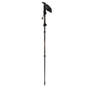 Bastoncini da trekking Guidetti Flashlock Ambre Carbone-Alu 125