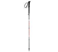 TSL Bastoncini da trekking Hiking Carbon 5 Cross Argento