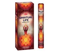 Bastoncini di incenso Masala fragranza arrotolata Hem Spiritual Life...