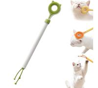 Bastoncino massaggiante estensibile per animali domestici con cuscinetti in morbido silicone, strumento per la toelettatura e il graffio dei gatti, ideale per il gioco, e il massaggio，Verde