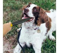 Bastone da addestramento per morso di bocca in nylon giocattolo da masticare