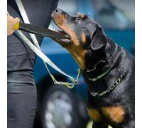 Bastone da addestramento per morso di bocca in nylon giocattolo da masticare