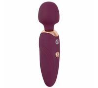 Bastone da massaggio piccolo, You2Toys 1 pz Vibratore