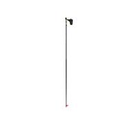 Bastone da trekking Atomic Pro Carbon Qrs Gris 170 cm