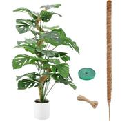 Bastone per Piante Rampicanti, 120cm Palo del Muschio per la Pianta, Palo in Fibra di Cocco per Piante Rampicanti, Supporto Monstera per Piante Rampicant da Interni