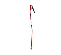 Vola Bastoni da sci GS Alu Alluminio Multicolore Senior 135 cm
