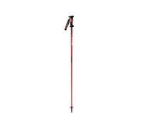 Vola Aluminium Sl Senior Nordic Sr Sl Alu-carbon World Cup Poles Rosso 110 cm