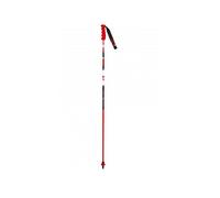 Bastoni da sci Vola GS CARBON 110