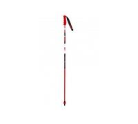 Bastoni da sci Vola GS CARBON 115