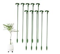 Bastoni di supporto per piante da appartamento Pali per piante | 10 x bastone di supporto fiori giardinaggio interno orto orchidea rosa pomodoro giglio phalaenopsis bonsai decorazione