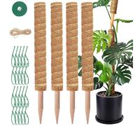 BASTONI MUSCHIO SUPPORTO ESTENSIBILE IN FIBRA 42 CM 4 PEZZI IDEALE GIARDINO