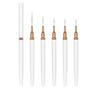 Basvelle Artistiche Del Chiodo Set 5pcs ACRILIC STRUMENTI GIFT KIT BRUSHI ART ART