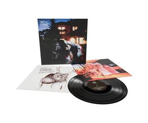 BAT FOR ASHES - Fur and gold (2026) LP Vinyl pre-sale