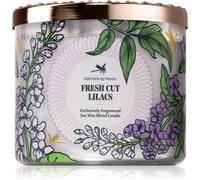 Bath & Body Works Fresh Cut Lilacs candela profumata 411 g