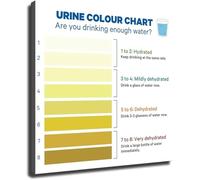 Bathroom Kitchen Wall Art Canvas Prints Urine Color Hydration Chart Guide Poster for Room Aesthetics Living Room Bedroom Decor(Framed,16x24inch(40x60cm))