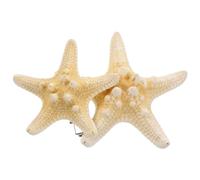 BATHVEVE Mollette per Chioma Donna a Forma di Stella Marina a Cinque Punte 2 Pezzi Accessori per Chioma Eleganti e Stabili per Feste tra Amiche Colore Casuale