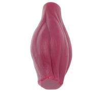 BATHVEVE Muscolare Realistico in Silicone da 1 per Insegnamento e Visualizzazione, per Appassionati di Fitness Anatomico