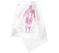 BATHVEVE Poster Anatomico Decorativo del Complesso Muscolo-scheletrico Umano Bianco 40x60 Cm per Insegnamento e Decorazioni Festa a Tema