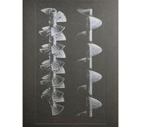 Batia Suter - La Nonpareille / The Incomparable