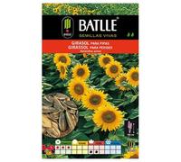 Batlle Aromatic Seeds - Sunflower Pipe (10G): Seeds:packing seeds only