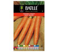 Batlle Horticultural Seeds - St. Valery Carrot (10G): Package Contains Seeds