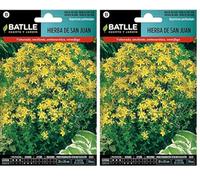 Batlle Kräutersamen - Erba di San Giovanni (semi - 80-100 cm) (Confezione da 2)