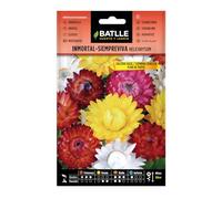Batlle - Semi di elicriso semprevivo, Fiore di Carta, Vari Colori