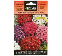Batlle - Semi di Fiori - Astro della Cina Nano Crisantemo, Assortiti