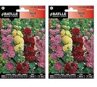 Batlle - Semi di Fiori, Malva Reale (Confezione da 2)