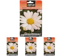 Batlle - Semi di Fiori - Margherita Gigante Leucantemum Bianca (Confezione da 4)