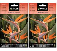 Batlle - Semi di Fiori - Strelitzia Uccello del Paradiso (Confezione da 2)