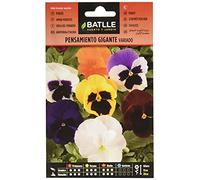 Batlle - Semi di Fiori - Viola del Pensiero Gigante in miscuglio