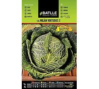 Batlle vegetable seeds - Cauliflower Milán Virtudes 3 sel. Bullo (3000 Seeds)