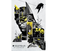 Batman 80th Anniversario Film Poster 61x91.5 CM 61x91.4cm Nuovo XXL