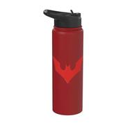 Batman Beyond Beyond Bat Logo Stainless Steel Insulated Water Bottle