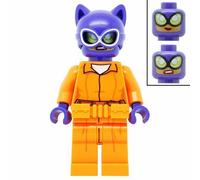 Batman Film Dc Supeheroes LEGO Figure Mini Catwoman Arkham Asylam Suit 70912