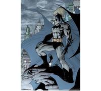 Batman Poster Fumetto Stile Ritratto Gotham Pipistrello Segnale 55.9cm by 83.8cm