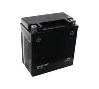 Batteria 12V 14Ah Per Husqvarna TC 242 96051012700 (2014-08) Trattorino Tosaerba