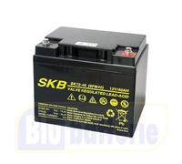 BATTERIA 12V 40Ah 42Ah 45Ah PIOMBO AGM ERMETICA RICARICABILE COME FIAMM FG24204