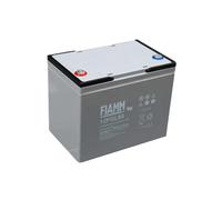 Batteria 12V 6V FIAMM FG FGL FGHL Piombo agm Fotovoltaico Ups Camper come yuasa