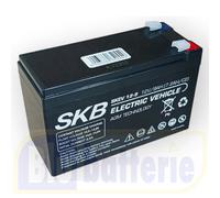 Batteria 12v 9Ah AGM ciclica deep cycle SKB EV al piombo Terminale 6,3mm