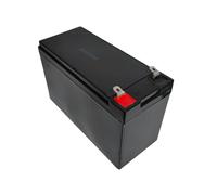 Batteria 12V - 9AH Ricaricabile al Piombo Sigillata Veicoli Elettrici per Bambin