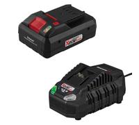 Batteria 20 V Parkside da 2 Ah 4 Ah Caricabatteria 4,5Ah per tutti Serie X 20 V