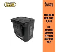 Batteria 21.6V 4.0 ah Volpi cesoia forbice da potatura sega elettrica motosega