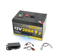 Batteria A Ciclo Profondo LiFePO4 Da 12 V 200 Ah For Sistemi Solari, Camper, Marine, Accumulo Di Energia Off-grid(12E 200Ah Charger Black)